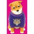 tiger sweater dog
