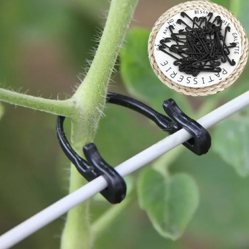 50/100Pcs Plastic Vines Fastener Tied Buckle Hooks Gardening Grape Support Vegetable Strapping Clips Fixed Buckle Plant Holder