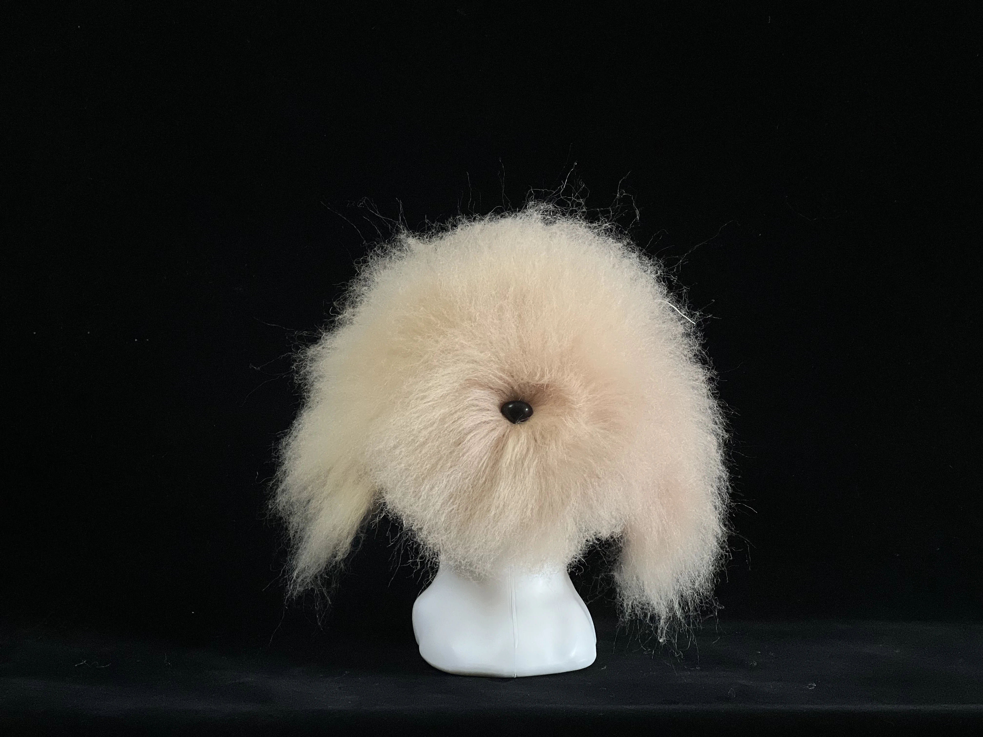 Teddy Bear Professional Head Wigs Only Pet Grooming Tool Groomer Trimming Practice Model Dog Head Fur (No Head Model)