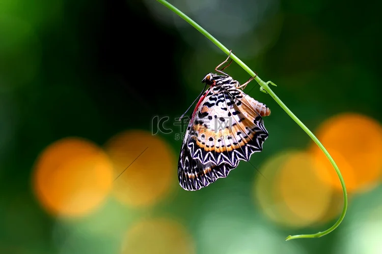 

Aluminum Alloy ESC Motor Cable Manager Wire Fixed Clamp Buckle Prevent Tangled Line Clip Tool for RC Climbing Model Car