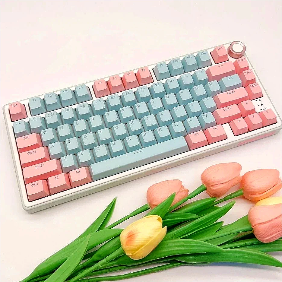 117 keys, pink blue, transparent keycaps, front-printed PBT keycaps OEM shape, suitable for MX switch gaming mechanical keyboard