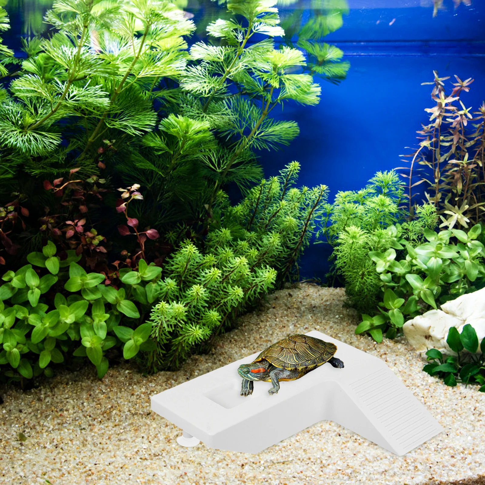 

Turtle Habitat Ramp Reptile Basking Platform Cozy Secure Area Sunlight Exposure Simple Setup Aquarium Accessory