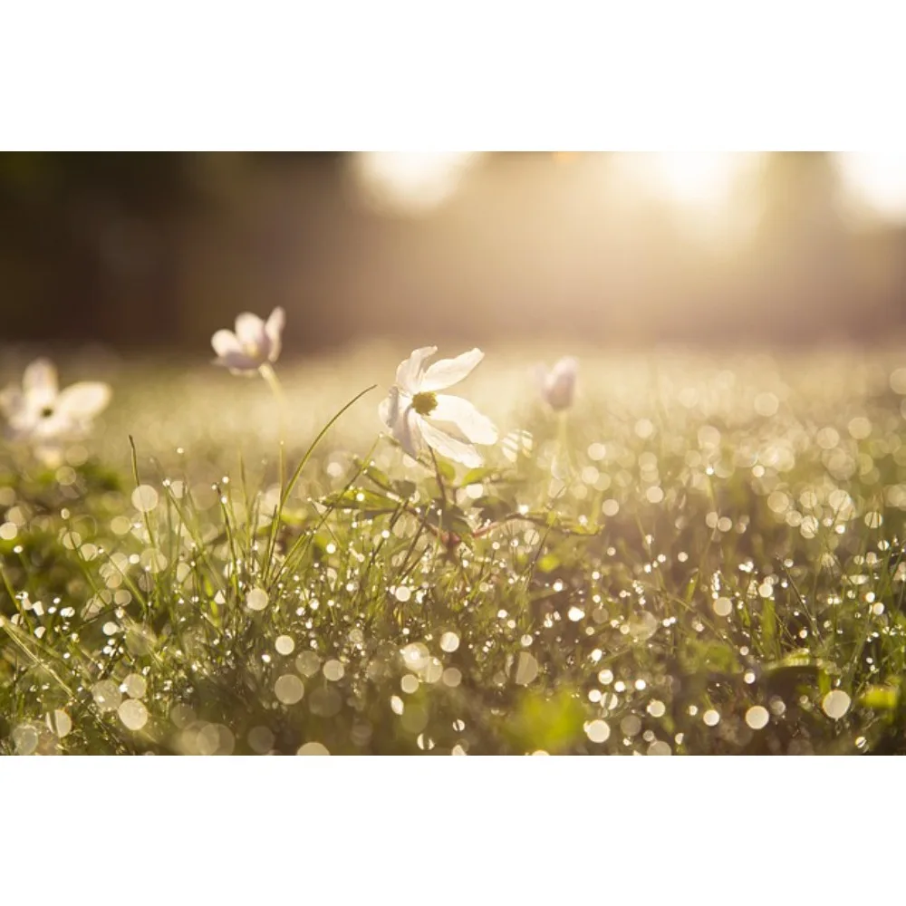 Flywoo Goku GN405 2… - image