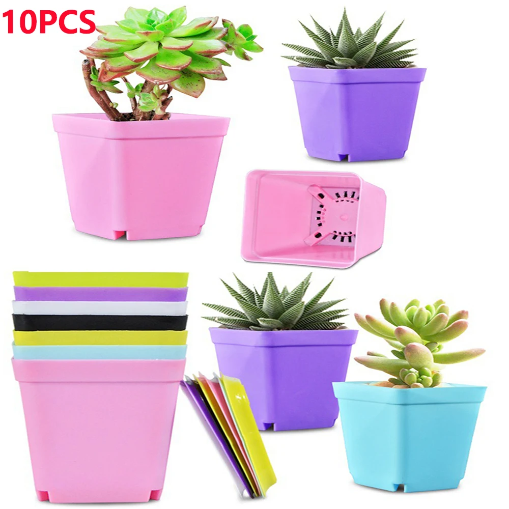 10 pz/borsa giardinaggio Mini piccolo vaso quadrato vaso di fiori vaso succulento piccolo vaso di plastica quadrato nero vassoio per piantine