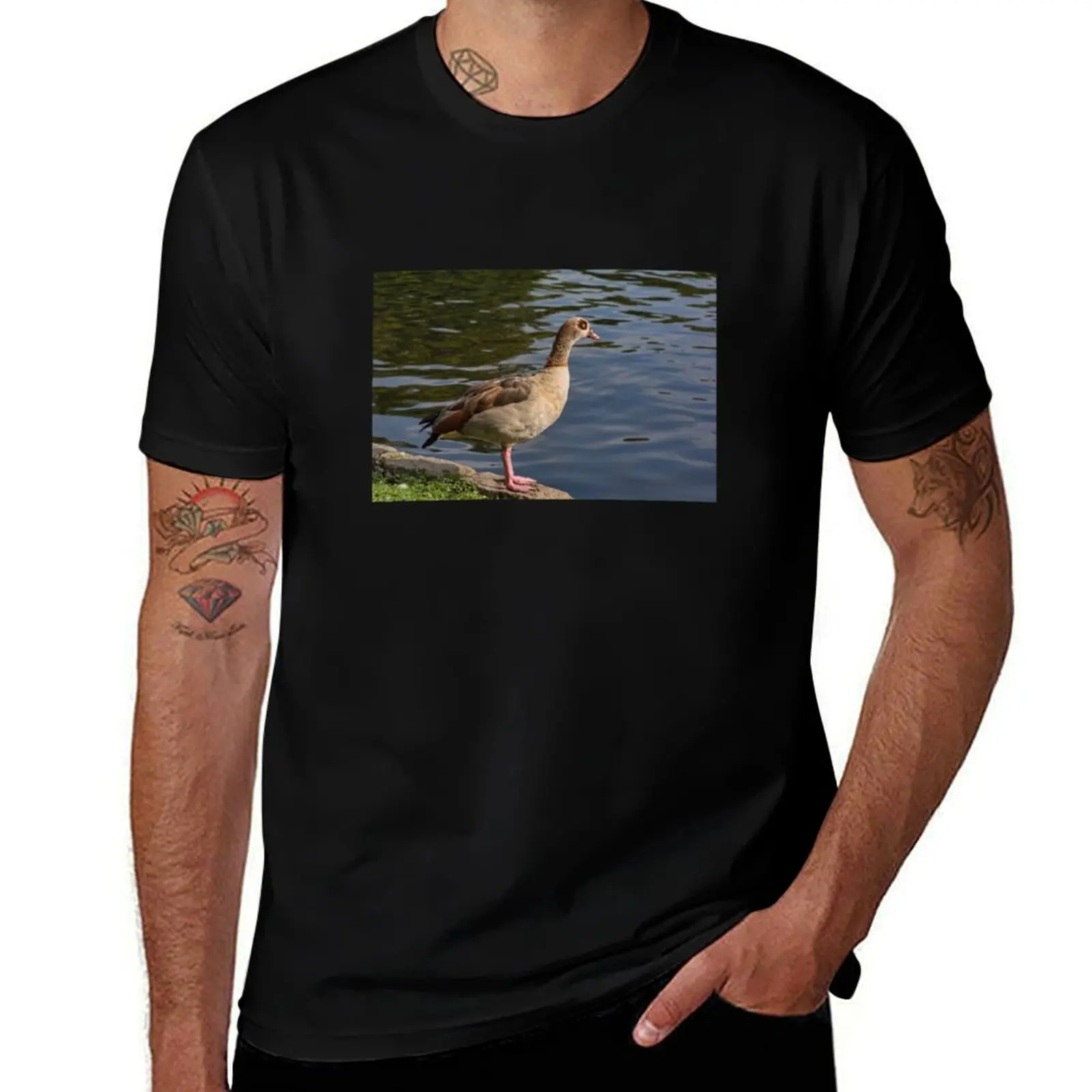 

Egyptian Goose in St James Park, London, UK T-Shirt anime t shirts oversize t shirt man plain T-Shirt