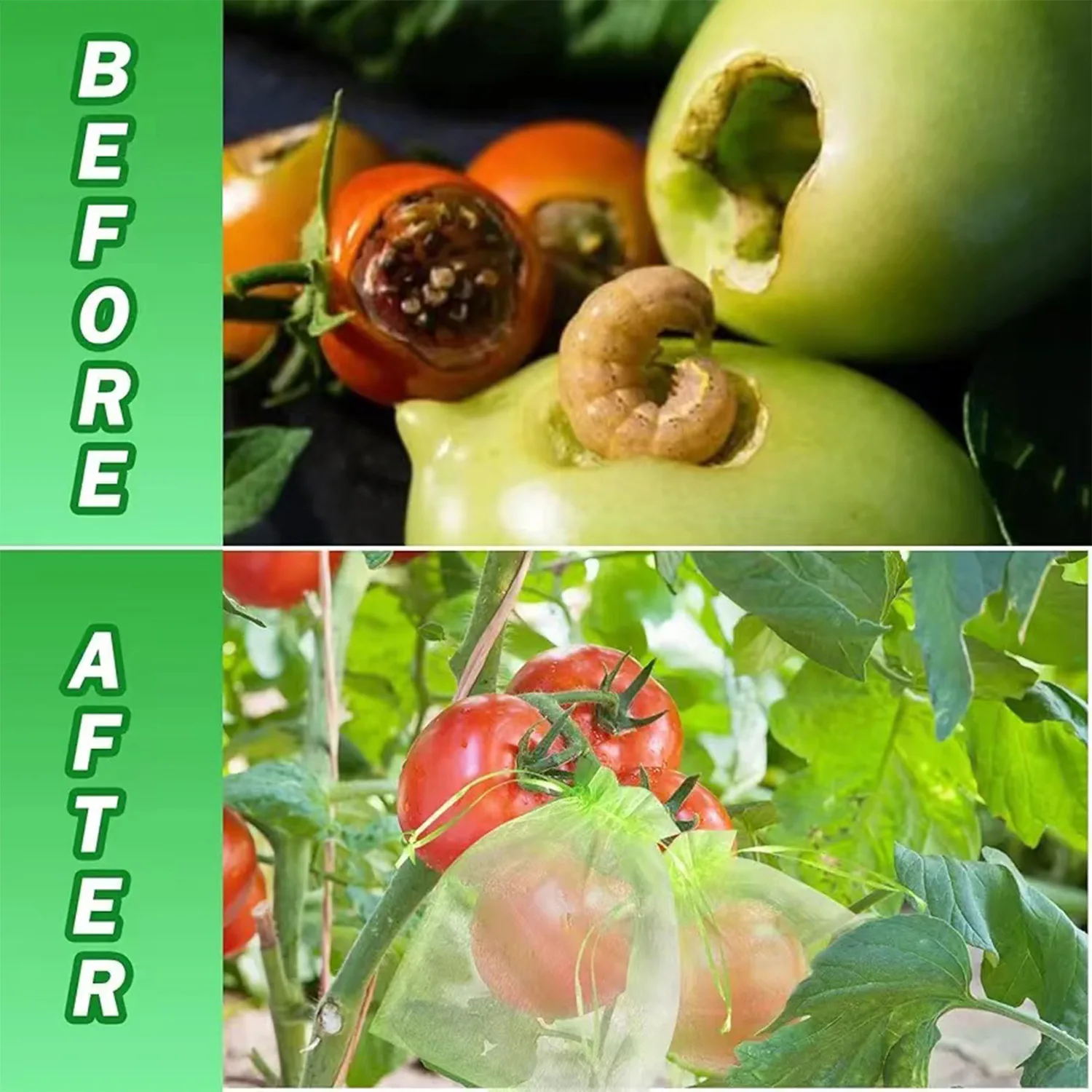 Bolsas de protección para frutas de piezas, cubierta de Red Verde con cordón, protectores de fruta de malla, barrera contra plagas para mangos,