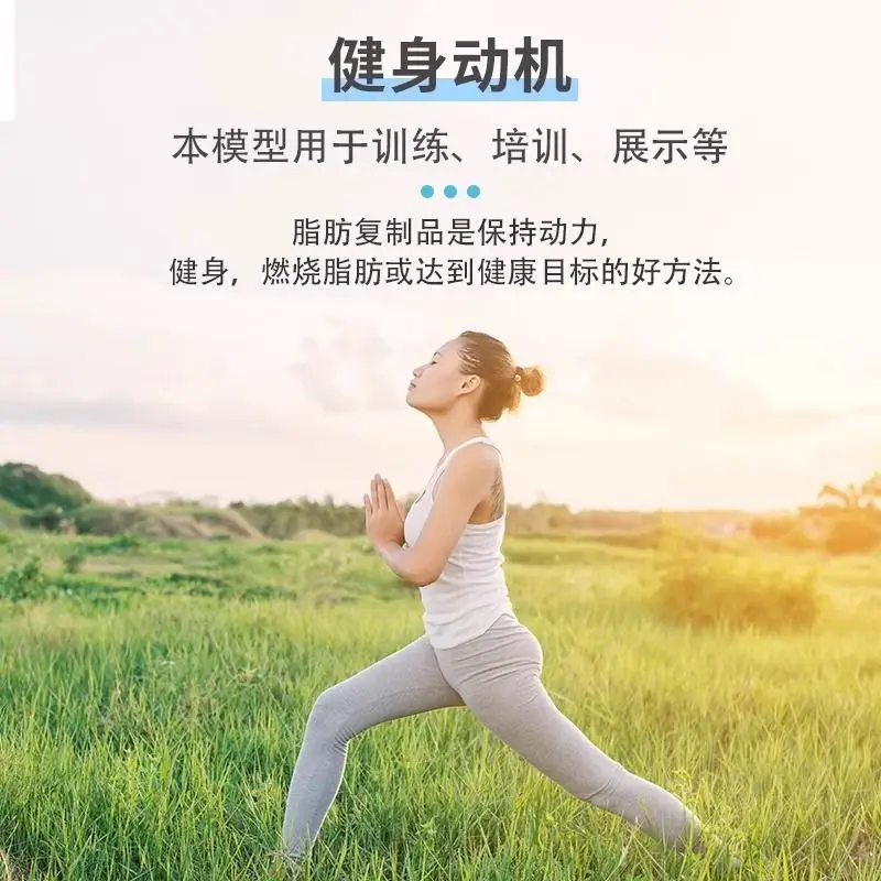 Fat Muscle Tissue Model Training Display Fitness Health Silicone Gel Simulation Medical Student Teaching Supplies