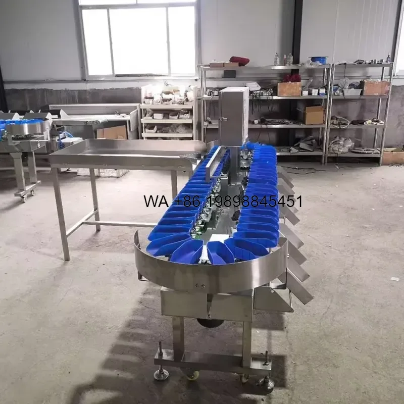 Wmwmnu for Stainless Steel Automatic Weight Sorting Fish Grader Crayfish Shrimp Sorting
