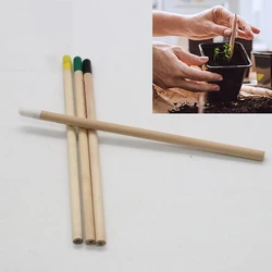 NEW 4pcs Idea Germination Pencil Set To Grow Pencil Mini DIY Desktop Potted Plant Special Gifts Artistic Pencil School Supplies