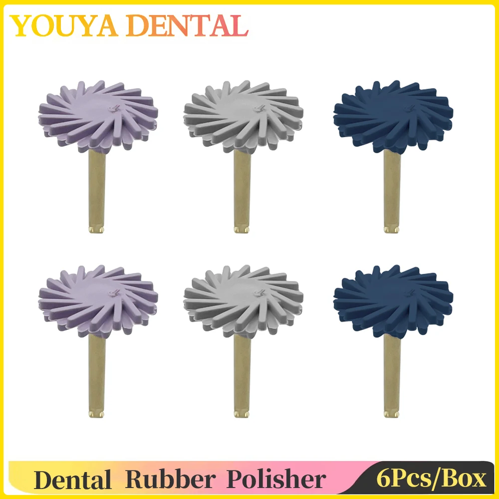 

6Pcs/Box Dental Rubber Polisher 14mm Wheel 3 Colors Spiral Flex Brush Dental Composite Resin Polishing Disc Dentistry Lab Tool