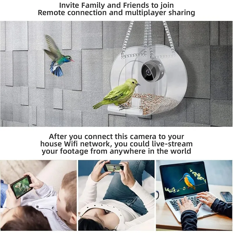 Smart 1080P Mini Bird Feeder with WIFI Connection Real-Time 1080P Camera and USB Recording Plastic Mini Small Pet Supplies