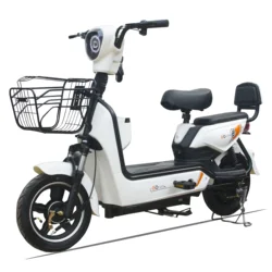 48V 500W Electric Bike 3 Modes of Riding Bicycle Brushless Motors High Power Mountain Max Vacuum Tire