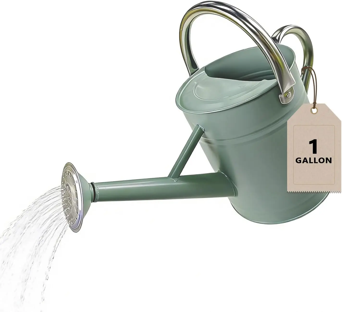 

Металлическая лейка для комнатных растений, 1 галлон, с съемным носиком, из оцинкованной стали, для сада и цветов
