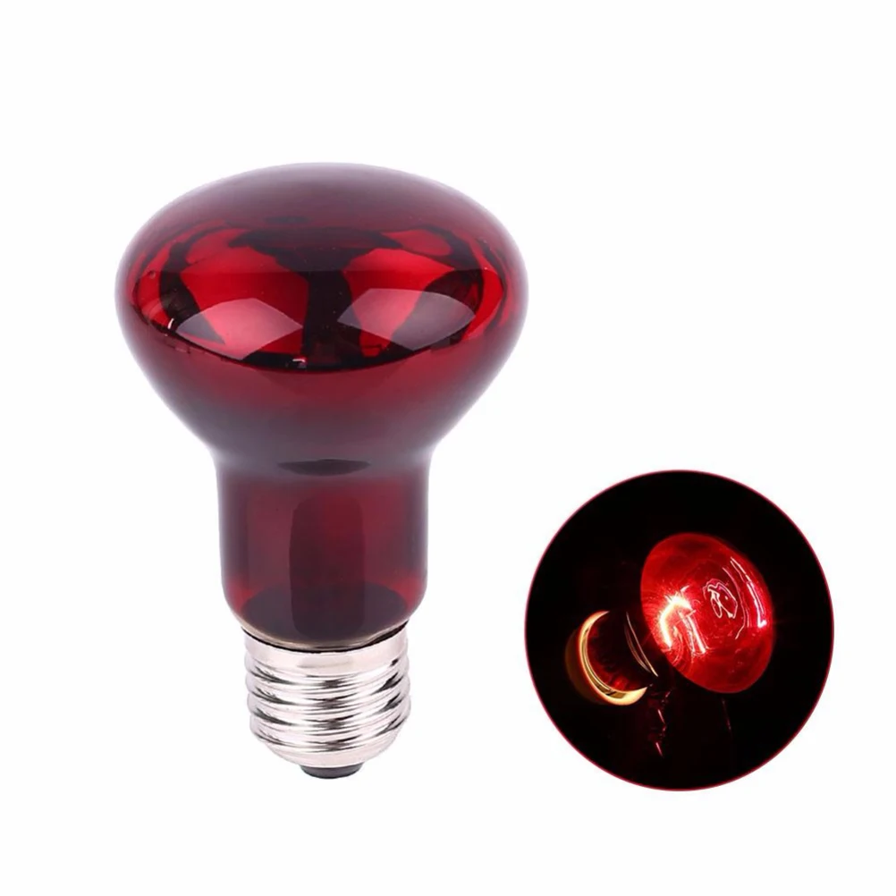 

light bulb lamp bulb Reptile lamp Reptile light Reptile clamp lamp