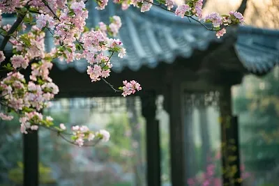 

1.0'' Шины Beadlock для бездорожья, металлический колесный диск, ступица 64x24 мм, адаптер 7 мм для радиоуправляемых машин-краулеров 1/18 1/16, аксессуары