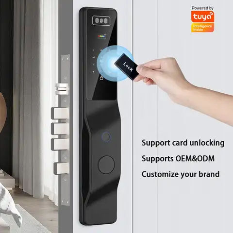 TYSH Tuya Serratura digitale con riconoscimento facciale 3D per corpo serratura intelligente con impronta digitale biometrica domestica