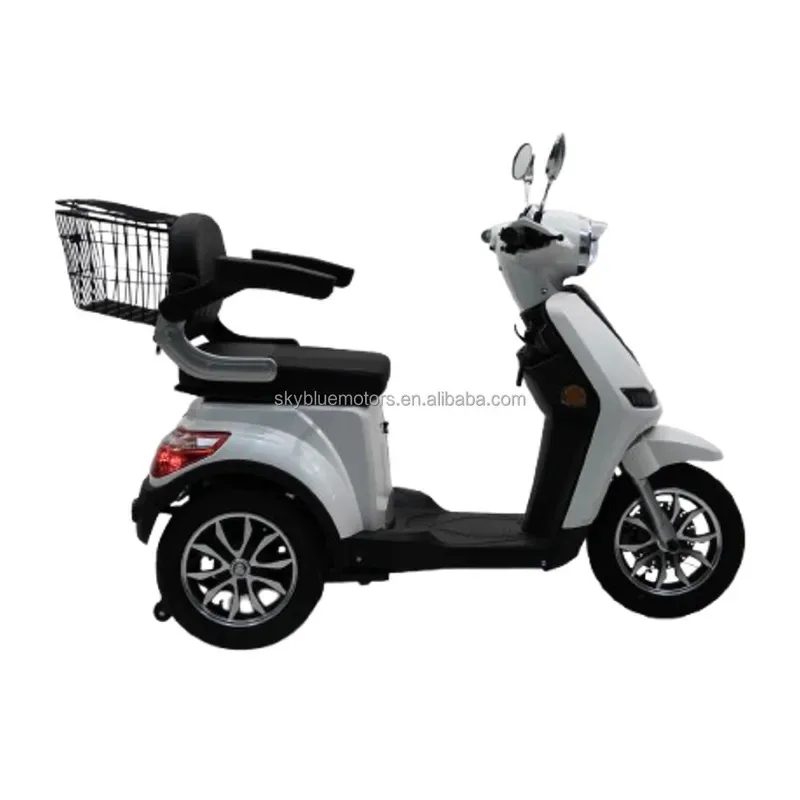 

Hot Sale 3 Wheel Heavy Mobility Scooters EEC Certified 1000W Lead Acid Long Range Electric Scooter For