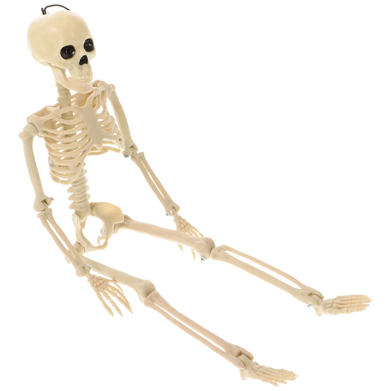 

Realistic Model Decor Plastic Prank Prop Scene Layout Halloween Supplies Bone Decoration Teaching Equipment Reusable