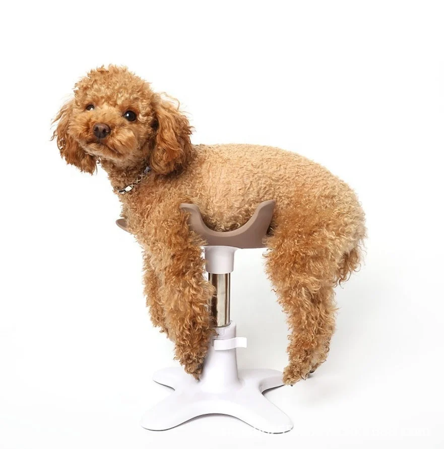 USMILEPET New Design Dog Assisted Standing Stand Soft Silicone Dog Grooming Support Stand for Bathing Trimming
