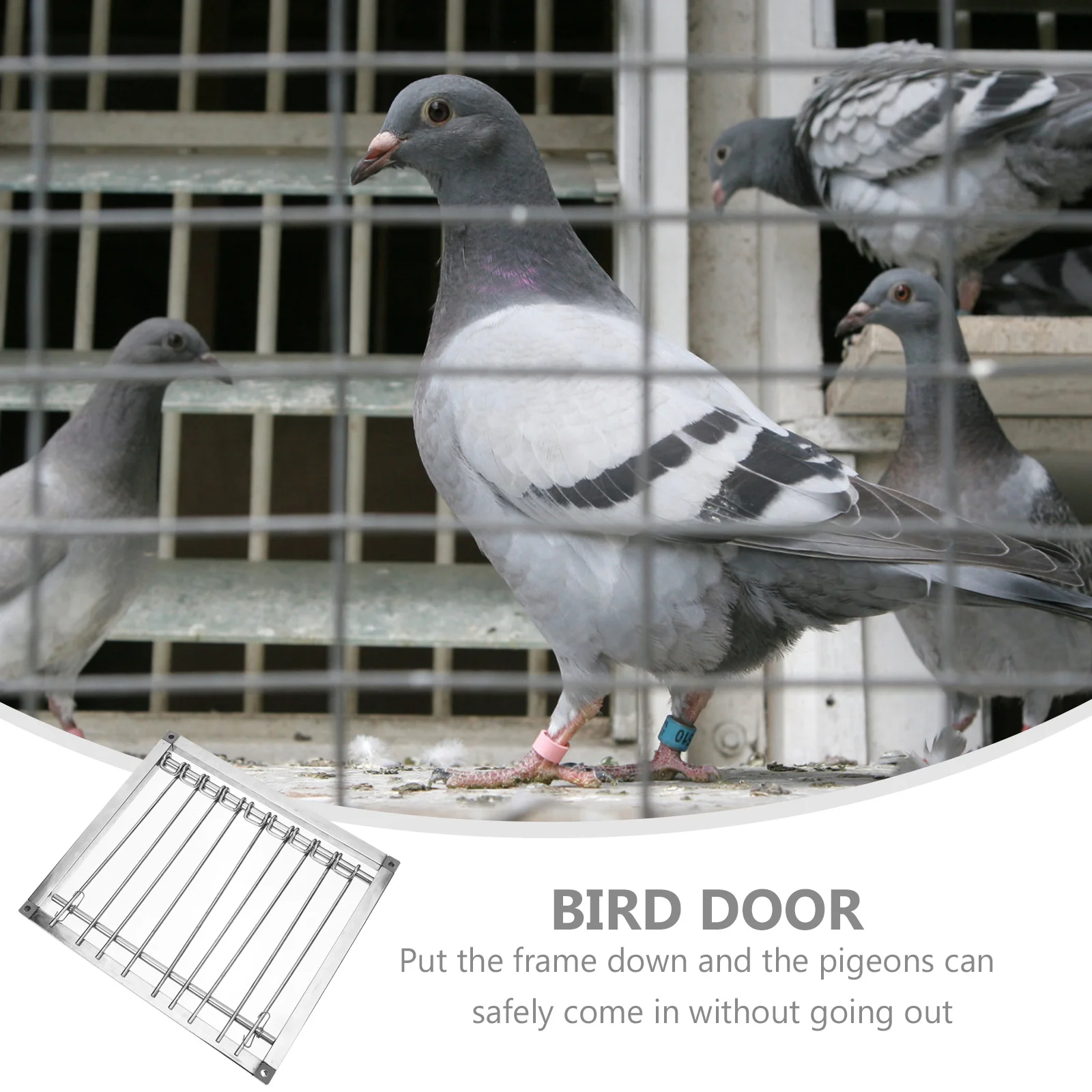 

Pigeon Cage Entrance Door High Hardness Stable Durable Pigeon Loft Door Simple Convenient Raising Homing Pigeons