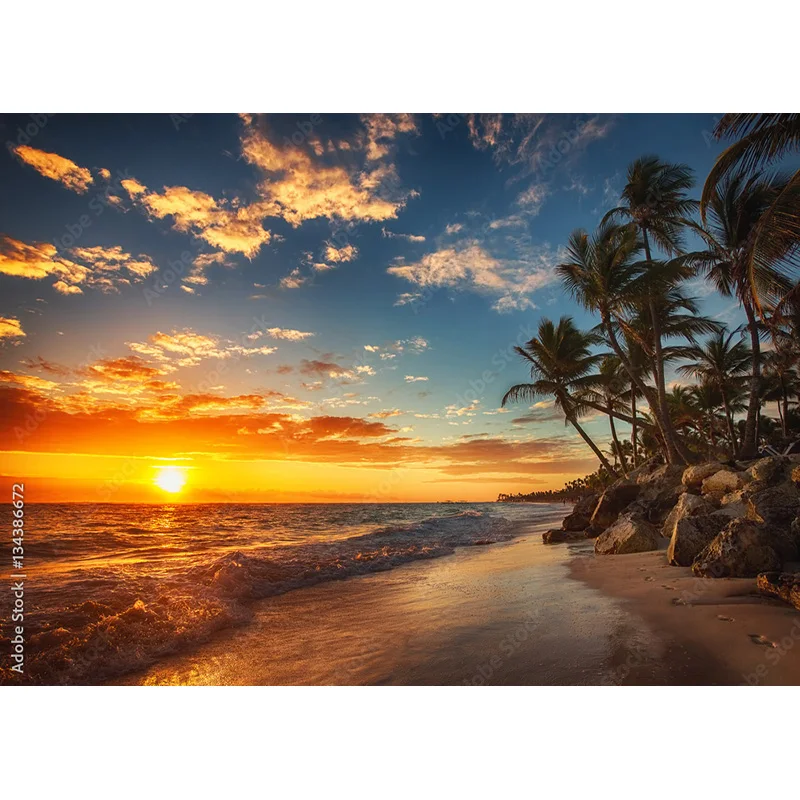 Tropical Sea Beach Palms Tree Photography Background Natural Scenic Photo Backdrops Photocall Photo Studio HHB 08