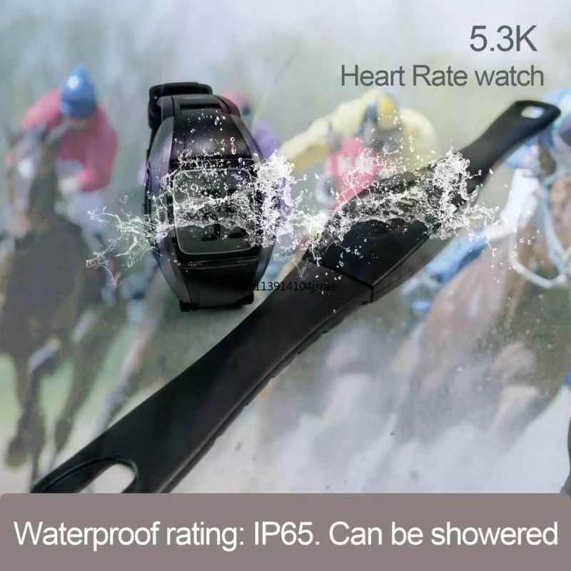 For 2598 Wireless Equine Heart Rate Monitor Watch Belt Waterproof High Precision Backlit LCD Fast Measurement
