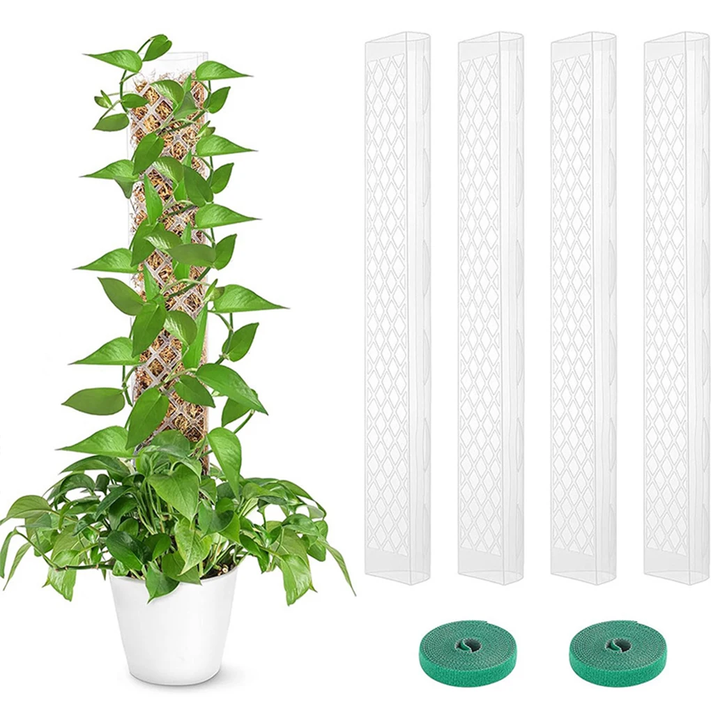 Indoor Potted Plant Sticks Support Unique For Easy Growth Growing Environment For Plants