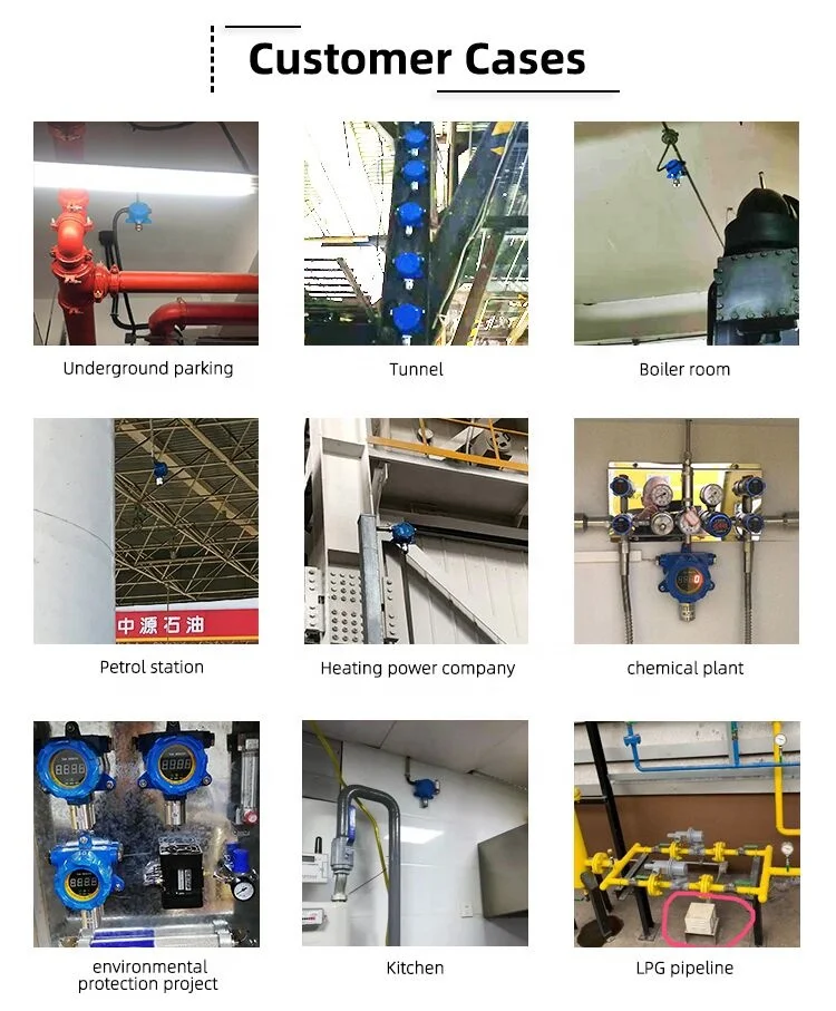 Gas Station Use Combustible Gas Methane Detector LEL CH4 Gas Detector