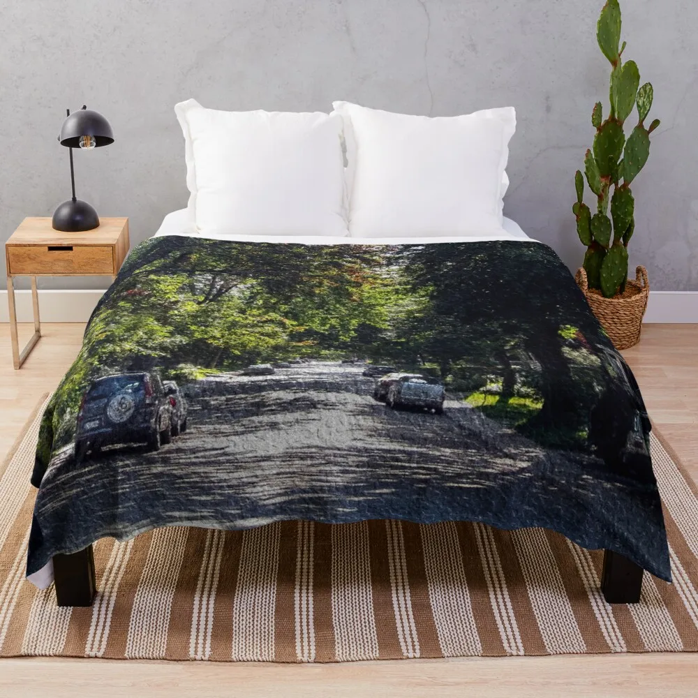 Montreal Street Throw Blanket Soft Plush Plaid Sofas Blankets