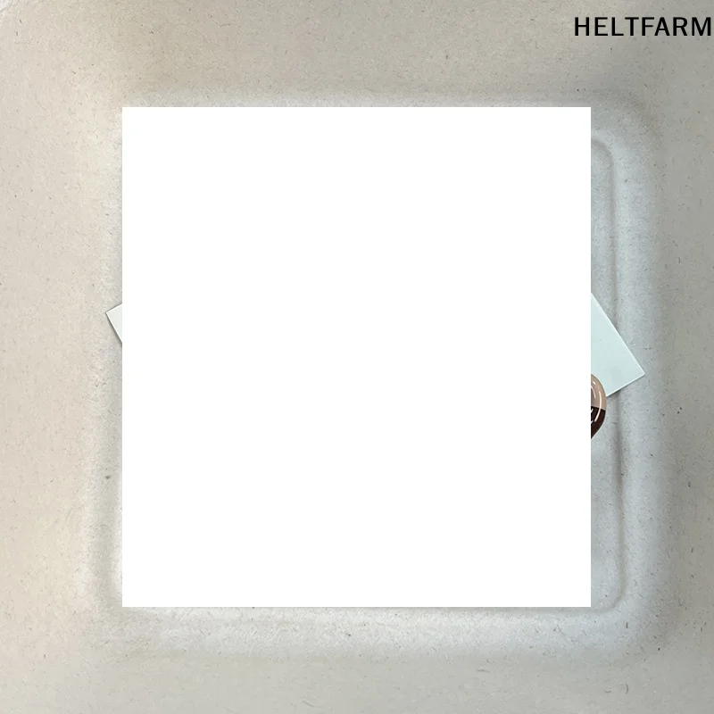 

Tools Cute Cartoon Accessories Hair Clip Dog Shape Side Bangs Makeup Female Ladies Hairpin Girls Headwear Gifts