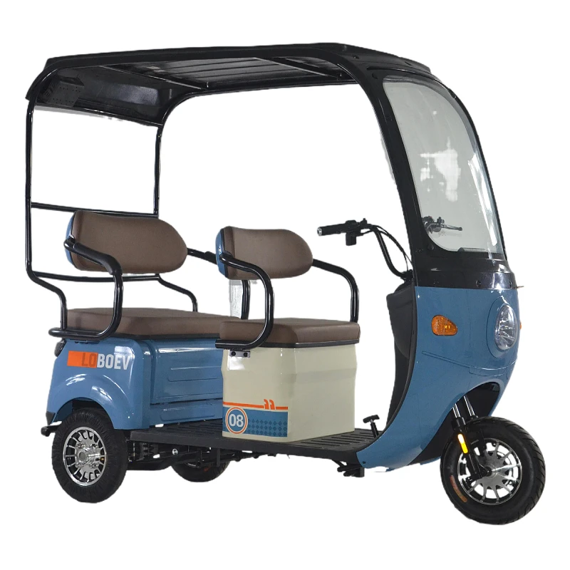 2024 factory High-Performance 800W Electric Covered Tricycle with Dual Remote Control