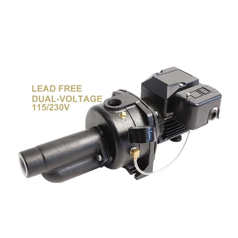 Made Self-priming Cast Iron Convertible 70' Deep Well Jet Water Pump with China Factory Price