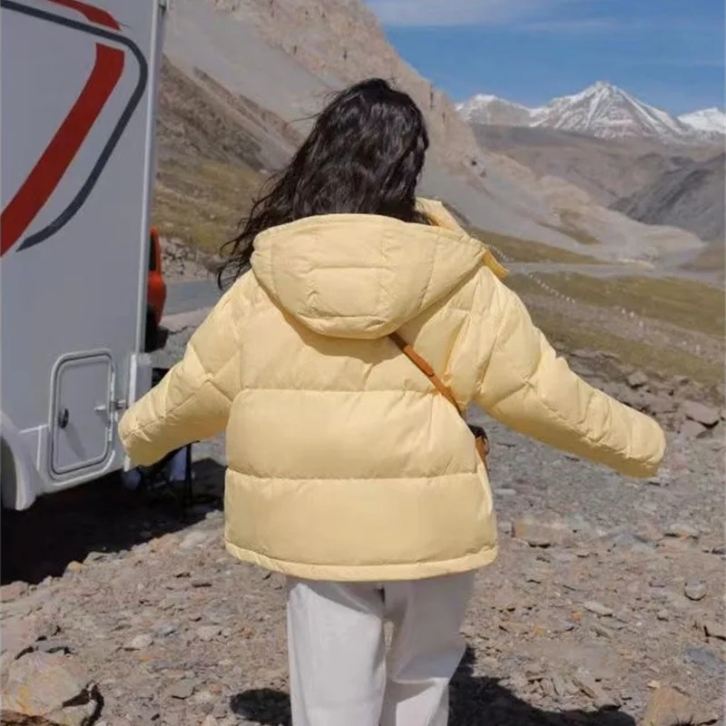 2025 Nieuwe Herfst Winter vrouwen Korte Parka Jas Dons Katoenen Jas Koreaanse Warme Winddicht Bovenkleding Vrouwelijke Student Kleding