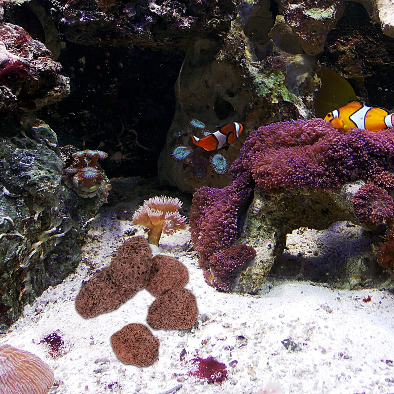 Decoraciones para pecera de roca volcánica, piedras porosas 3D, sustrato de zeolita Natural, medios de filtro para acuario, tanques marinos de agua dulce