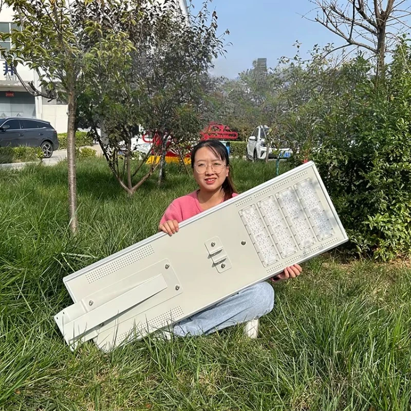 50W 100w 150w Light Emitting Diode Solar Panel Street Light