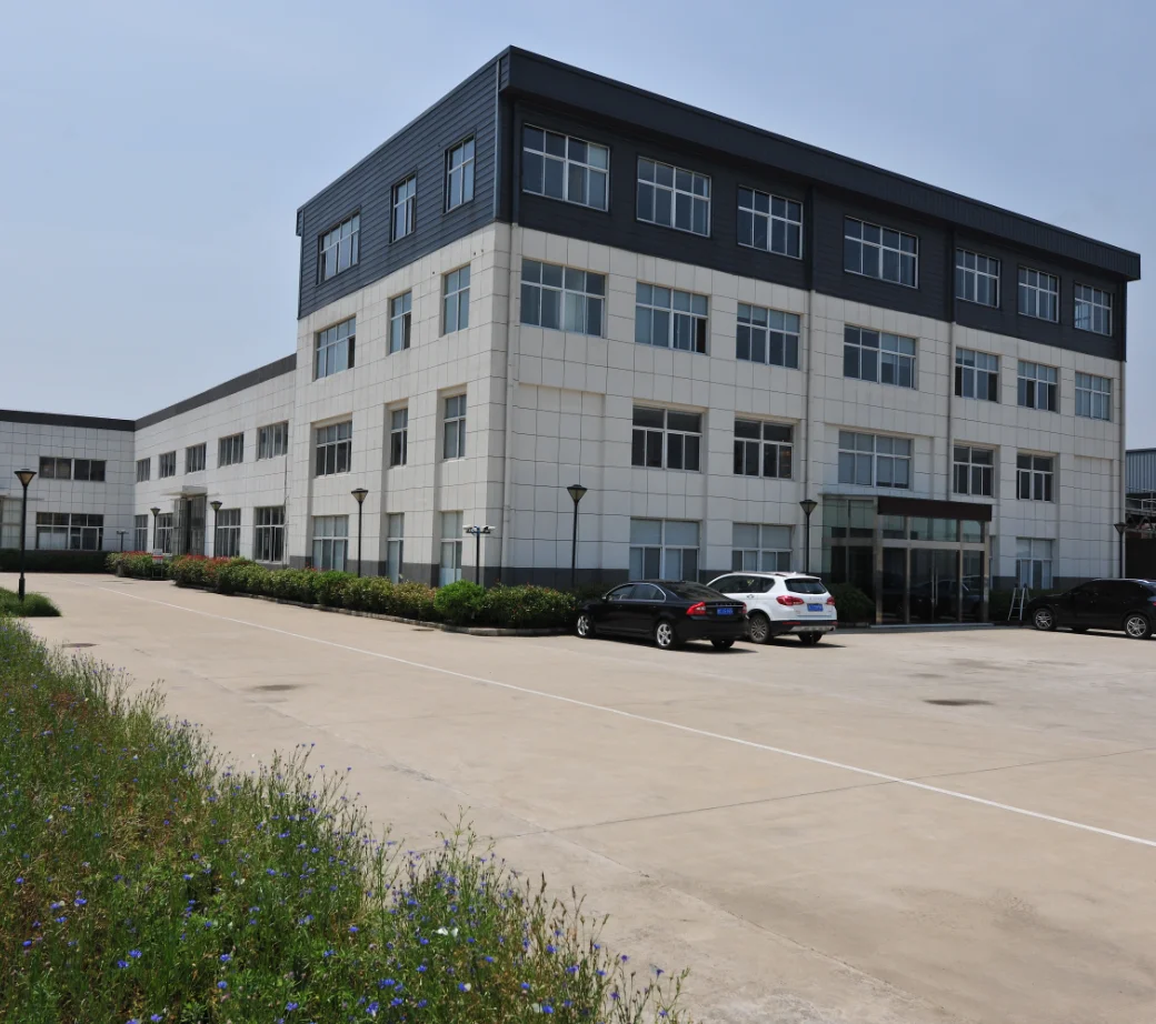 Remote Control Motorized Large Size Garage Anti Insect/mosquito Screen Window and Door