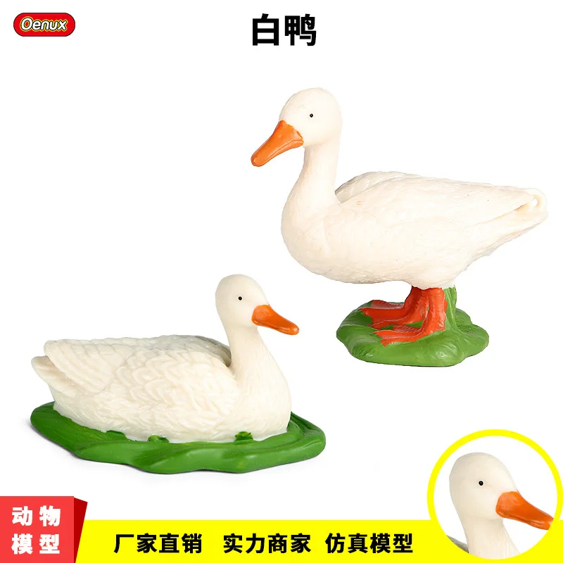 Simulation Animal Duck Model Solid Poultry Duck Mallard Duck Cognitive Toy Plastic Ornaments