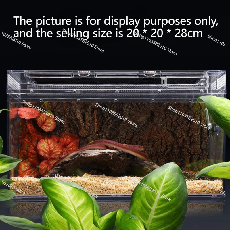 Reptile Terrarium Anti-Escape Amphibious Breeding Box, Lizard Tortoise Spider Cage Small Pet Display House