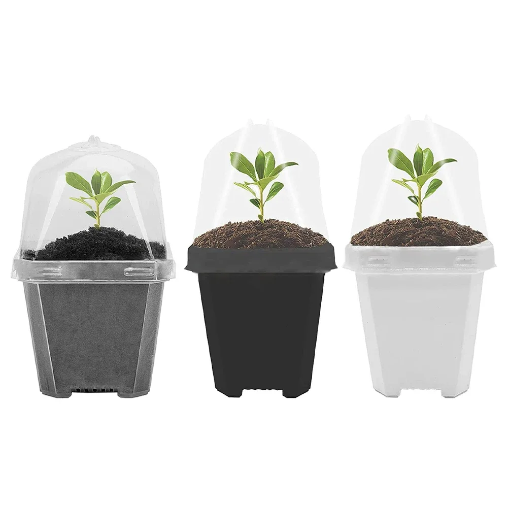 

Drained and Ventilated Plant Nursery Pots with Stackable Design Transparent Suitable for Mini Landscape Plants