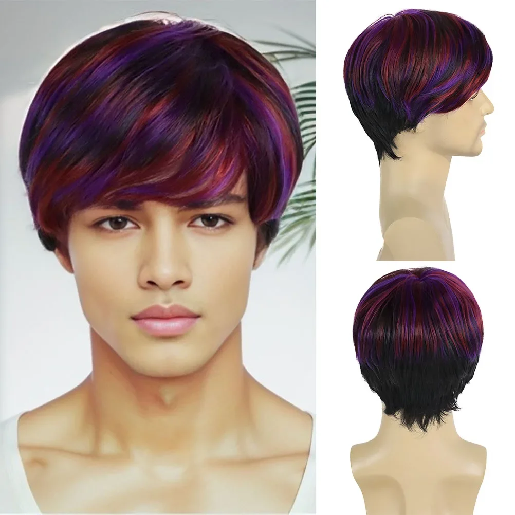 Short Wigs for Man Synthetic Hair Mixed Color Cosplay Wig Colorful Purple Red Wig Male Hairstyle Clearance Sale Cheap Wig Women