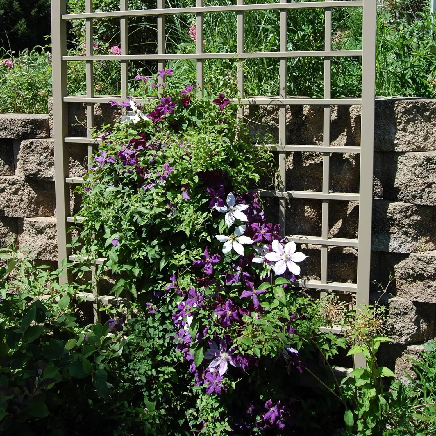 Winchester 57 x 95 polegadas PVC Vinil Outdoor Garden Patio Treliça, com parafusos de montagem na parede, Mocha