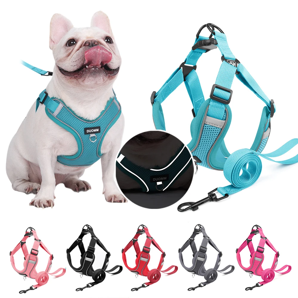 

Classic Soft Dog Harness and Leash Set, Breathable Mesh Comfort Vest for Small Medium Dogs, Adjustable No Pull Pet Harness