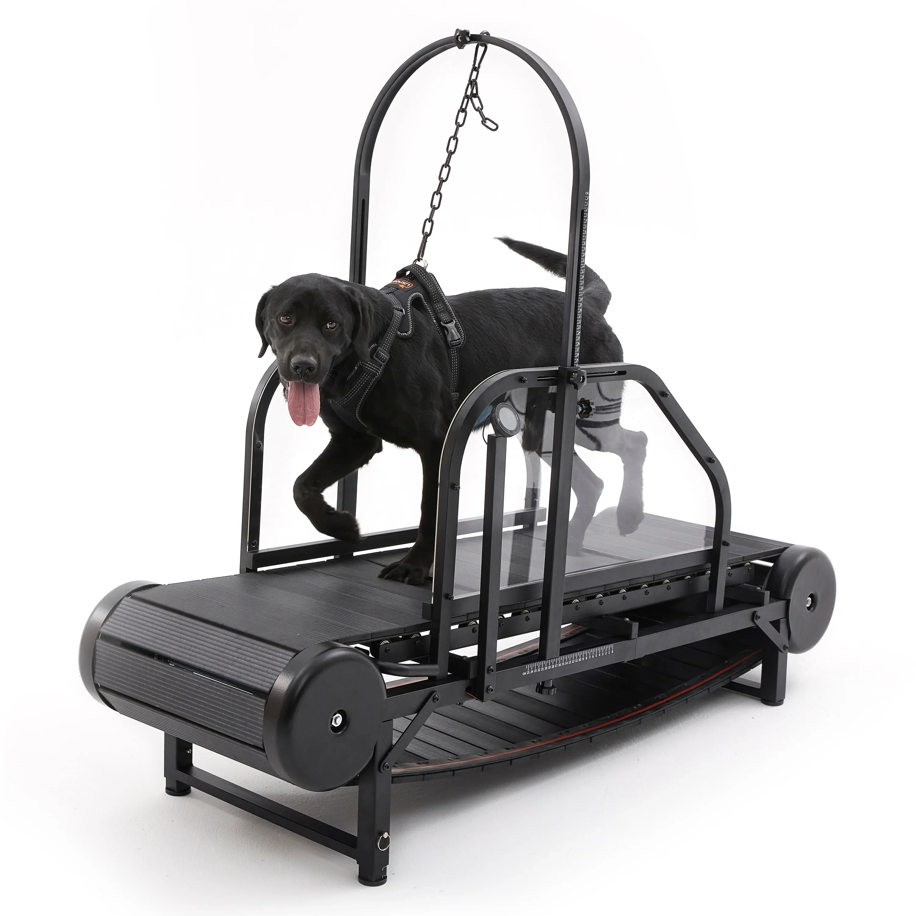 High Quality Pet Fitness Equipment USA STOCK Animal Exercise Training Treadmill Device Pet Dogs Walking Running Machine