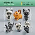 Angry Cat