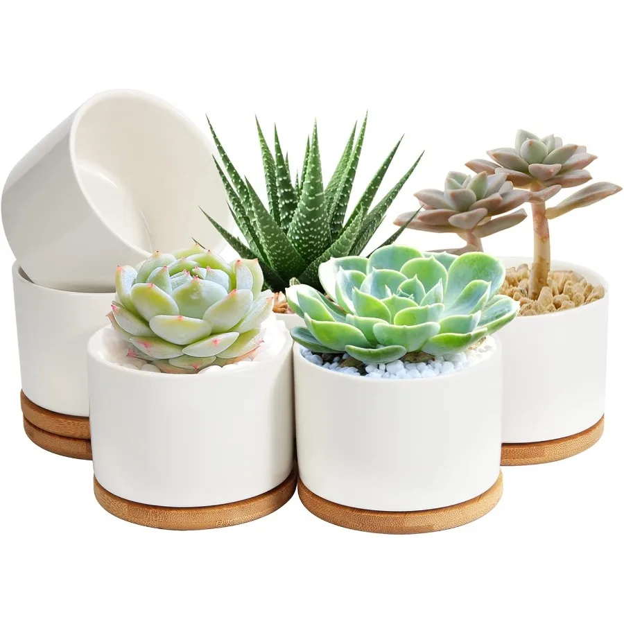 

Ceramic Succulent Pots4 Inch Plant Pots Succulent Planters with Drainage Hole Bamboo Tray for Indoor Plants White Small Flower