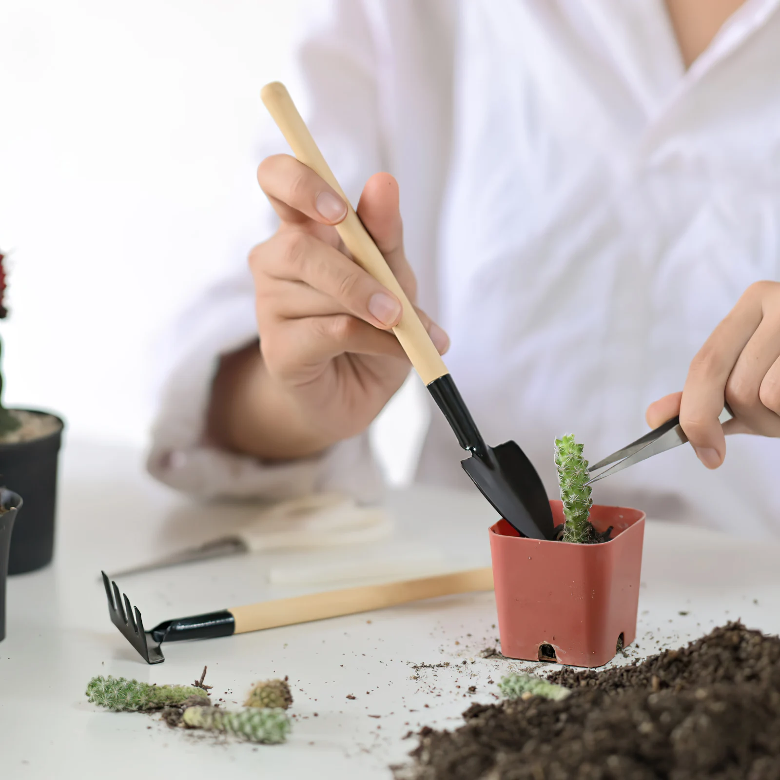 

2Sets Mini Garden Tools Durable Wood Handle Miniature Rake Trowel Shovel for Planting Transplanting Seedling Mini Garden Tools