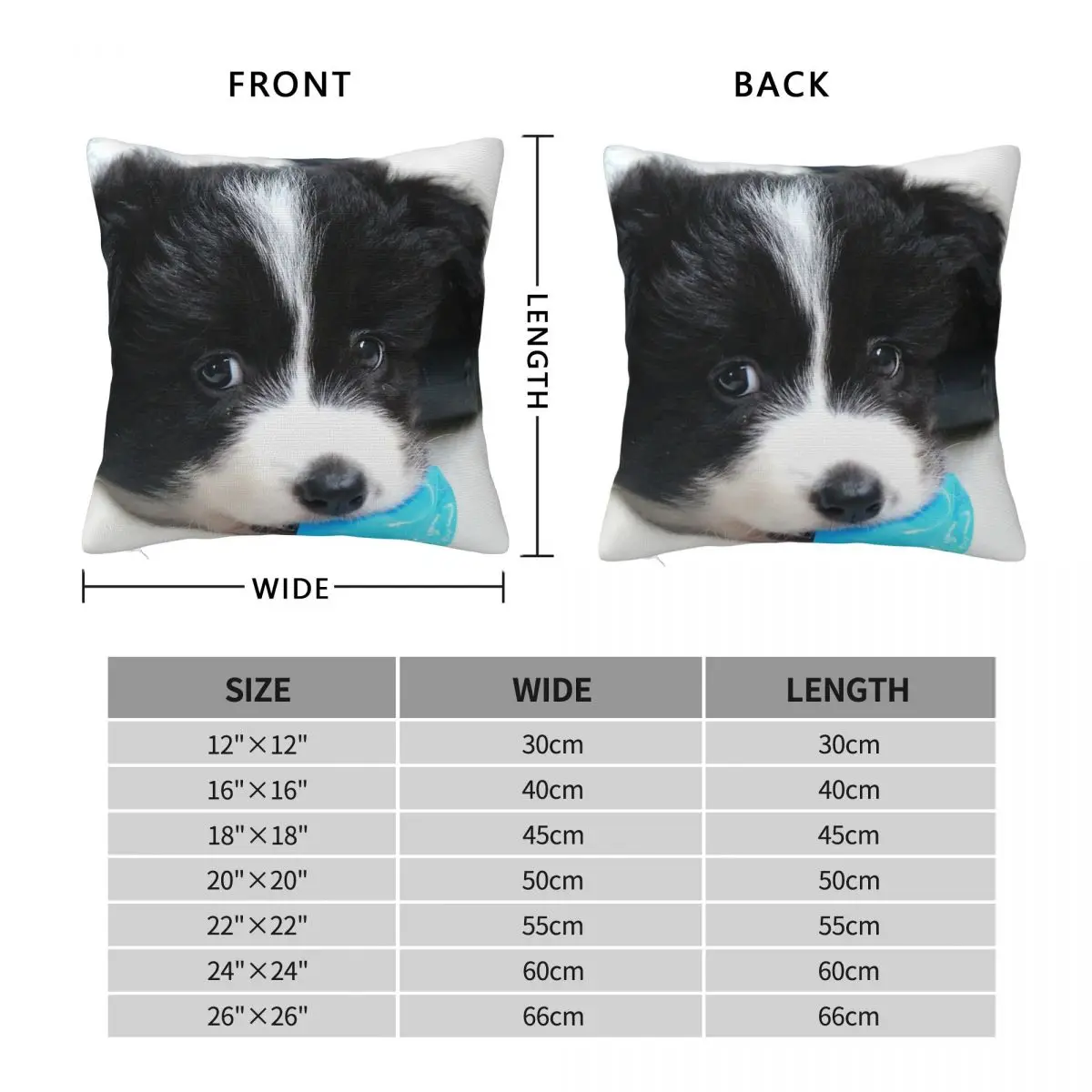 Border Collie Puppy Square Pillowcase Polyester Linen Velvet Creative Zip Decorative Home Cushion Cover