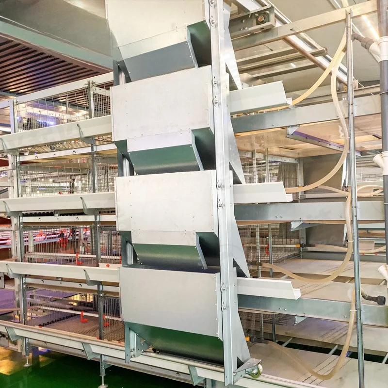 The chicken cage system provides optimal conditions for broiler chicken cages