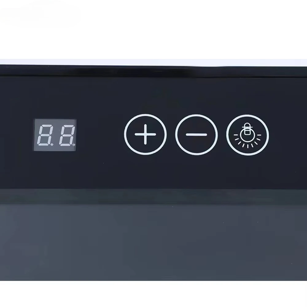 Hot Selling Modern 12 Bottles Compressor Fridge Wine Cooler for Home
