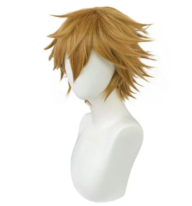 Synthetic Wig Short Straight Cosplay Wig for Halloween Christmas Thanksgiving Day